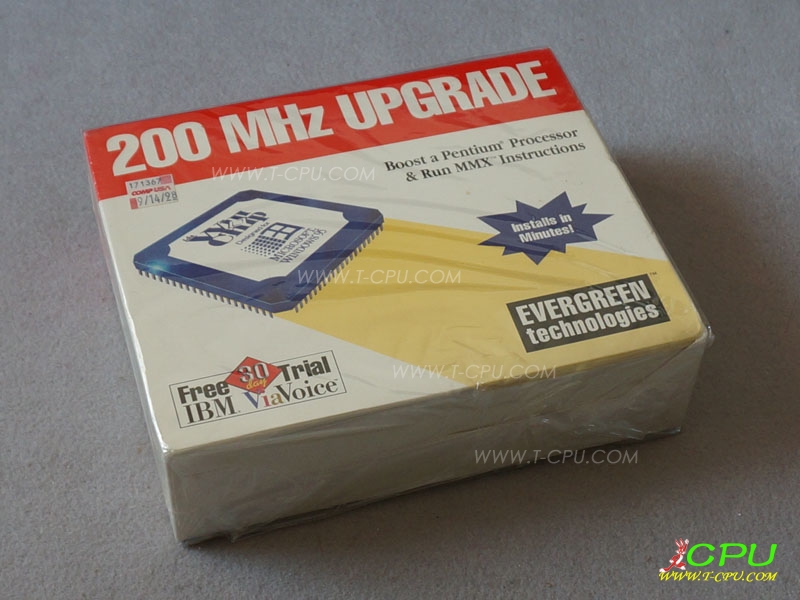 Evergreen 200 NIB