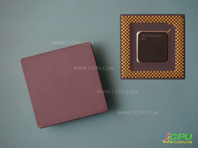 Intel Pentium Mach Sample