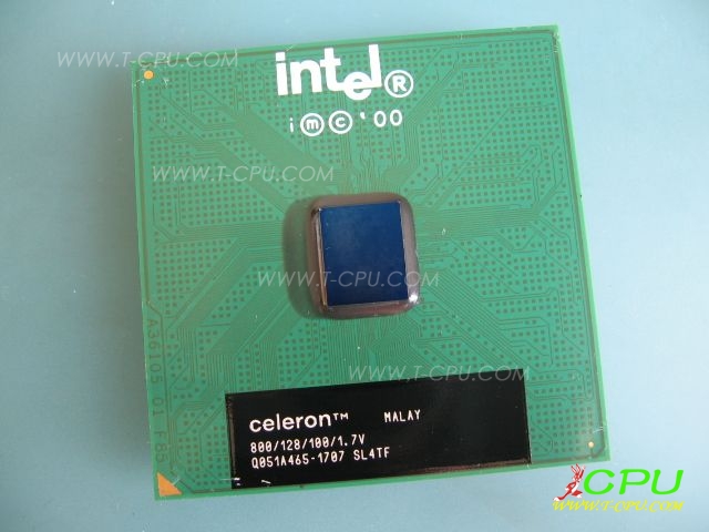 CELERON 800 SL4TF