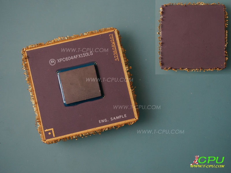 Motorola XPC604AFX150LG ENG SAMPLE