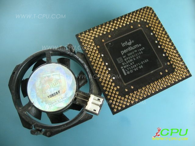 BP80503166 SL25M MALAY_2