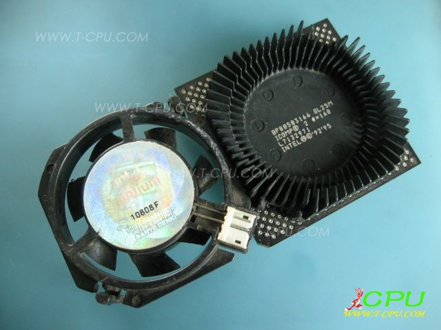 BP80503166 SL25M MALAY_1