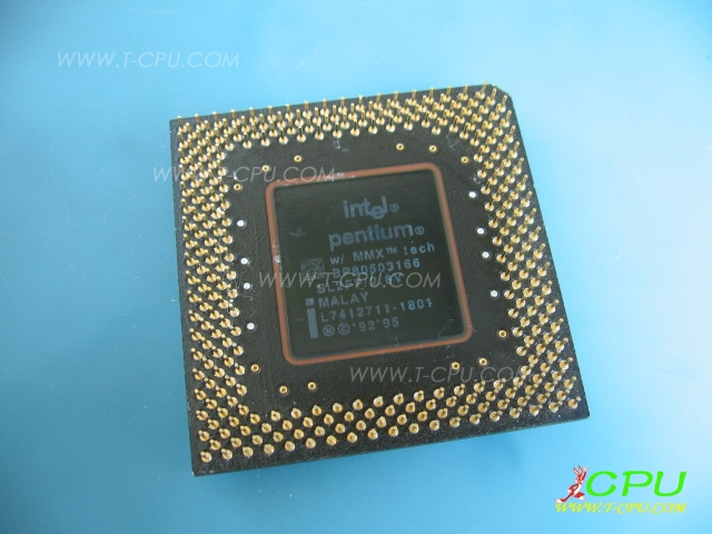 BP80503166 SL2FP MALAY