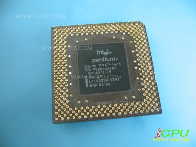 FV80503166 SY059 MALAY