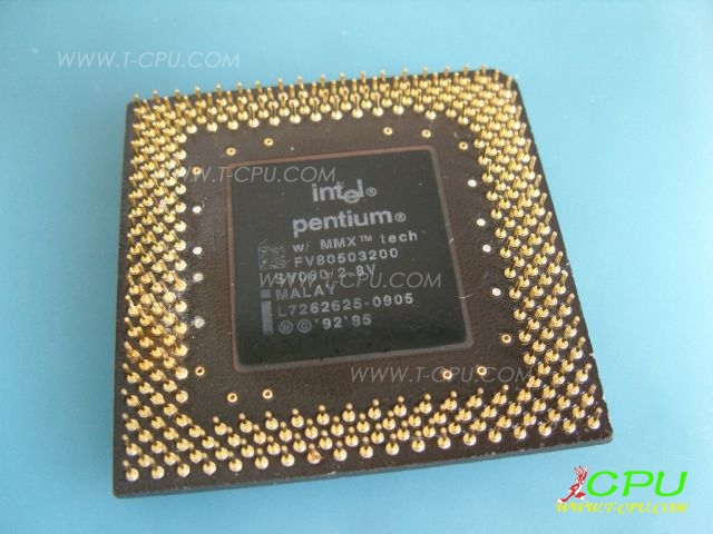 FV80503200 SY060 MALAY