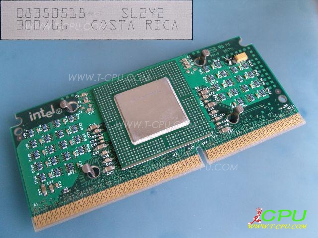 300/66 SL2Y2 C