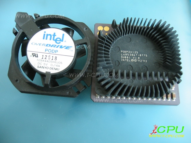 PODP3V125 SU081 MALAY