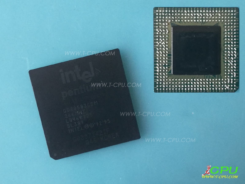 Intel GC80503CSM 266 SL389