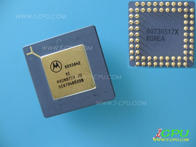Motuoluola 60X5642 XE